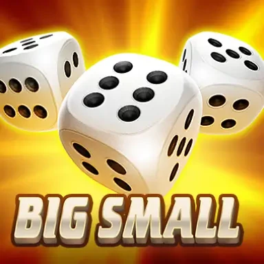 DU88 Big Small